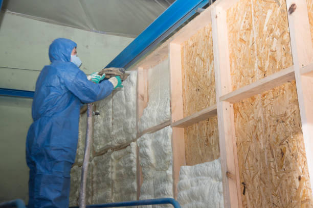 Best Insulation for New Construction  in Pearl, MS